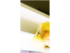 Wee weee👅👅👅 - Screenshot 15 of 16 - Xy