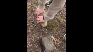 SURVIVAL bushcraft skills: camping lifehacks outdoors forest asmr