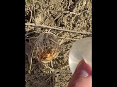 SURVIVAL bushcraft skills: camping lifehacks outdoors forest asmr