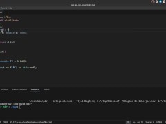 #45 const - Screenshot 11 of 16 - Cpp