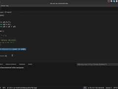 #46 Static Members - Screenshot 11 of 16 - Cpp