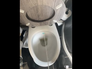 Кто будет хорошим туалетом?