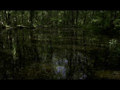 trailer_Mesmeriza_23_02_MOV_CINEMA_CLIP_321_20240814134325039_