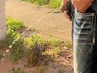 Кровать Flower работает отчаянная общественная моча (приходилось мочиться сегментами из-за проезжающих машин)