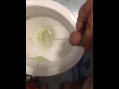 Robert posing - Screenshot 7 of 16 - Amateur Wife Sharing