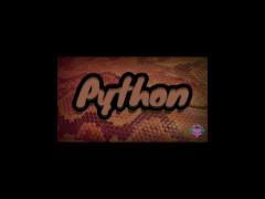 PYTHON S2 - Screenshot 16 of 16 - Pawg