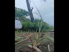 P1SSQUEEN pisses on the beach in Costa Rica