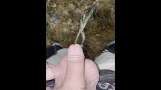 Stoner Guy con una pequeña polla meando al aire libre [POV]
