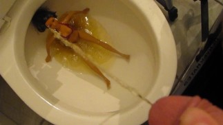 Giga: Tiffany's mini giga upstairs