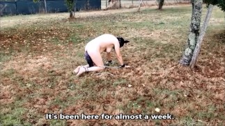 VOST engl - Animalisation 4 dans le jardin pour cette femelle inférieure nue.