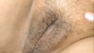 طبوني كيشبه القنفود 🦔 مزغب و منفوخ