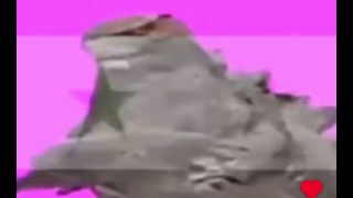 الشعب السوري في الساحلت