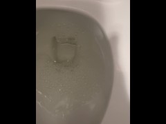 LaGuardia Airport Piss - Dane Coxx