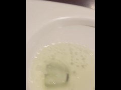 Restaurant Bathroom Piss - Dane Coxx