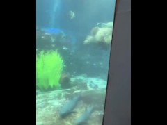 Are you staring at the fish… or at me? 👀