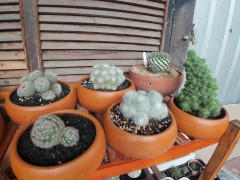 Thailand. Pattaya review of my room