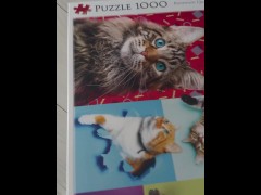 Help me put the puzzles together and then fuck me