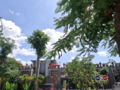 【主観映像】バリ島🏝️可愛いワンピースを着た彼女が鬼頭をべろぺろ舐めたり、喉奥まで咥え込んで濃厚なフェラチオをする彼氏目線の動画❤︎ - Screenshot 13 of 16 - Japanese