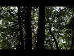 Mesmeriza_23_03_MOV_CINEMA_CLIP_322_20240814144714515