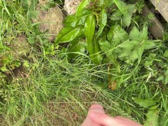 Hairy dick peeing in nature