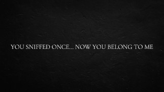 Du hast einmal geschnüffelt... Jetzt gehörst du mir.