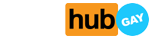 Pornhub 标志