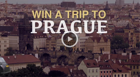 Enter the FakeTaxi Contest on Pornhub and Win a Trip to Prague | Pornhub